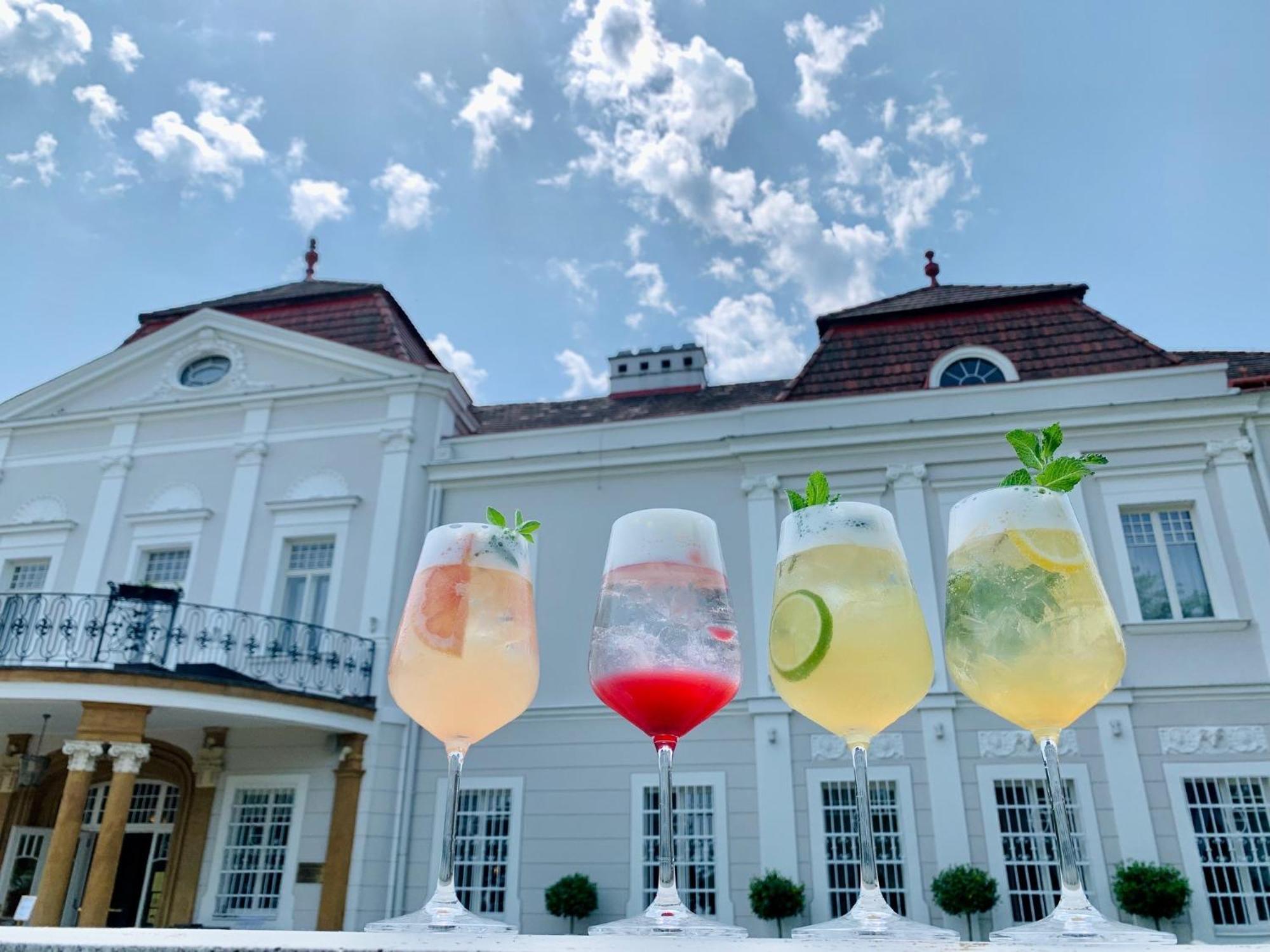 Art Hotel Kastiel Tomášov المظهر الخارجي الصورة